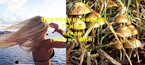 тгк Кукмор