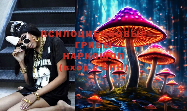 тгк Кукмор