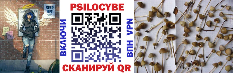 hydra ТОР  Курчатов  Галлюциногенные грибы ЛСД 