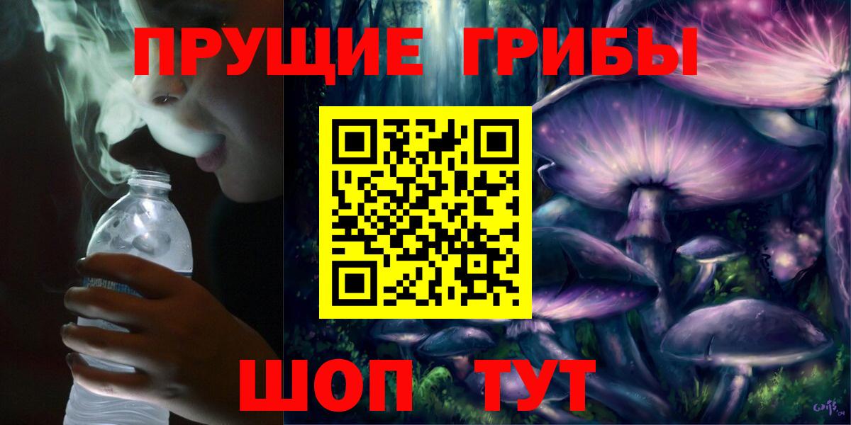 Галлюциногенные грибы мицелий Курчатов