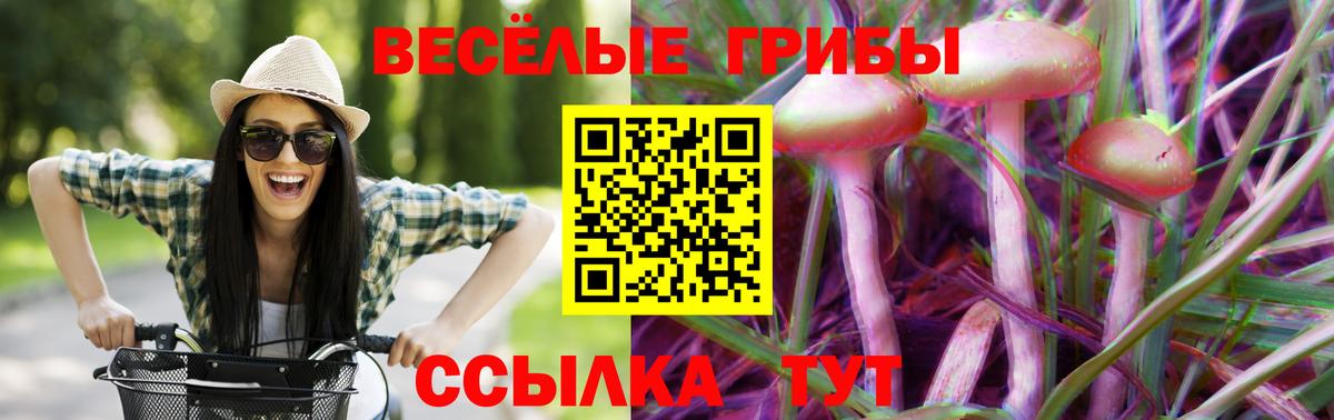 Курчатов  Галлюциногенные грибы GOLDEN TEACHER  Вход с VPN 